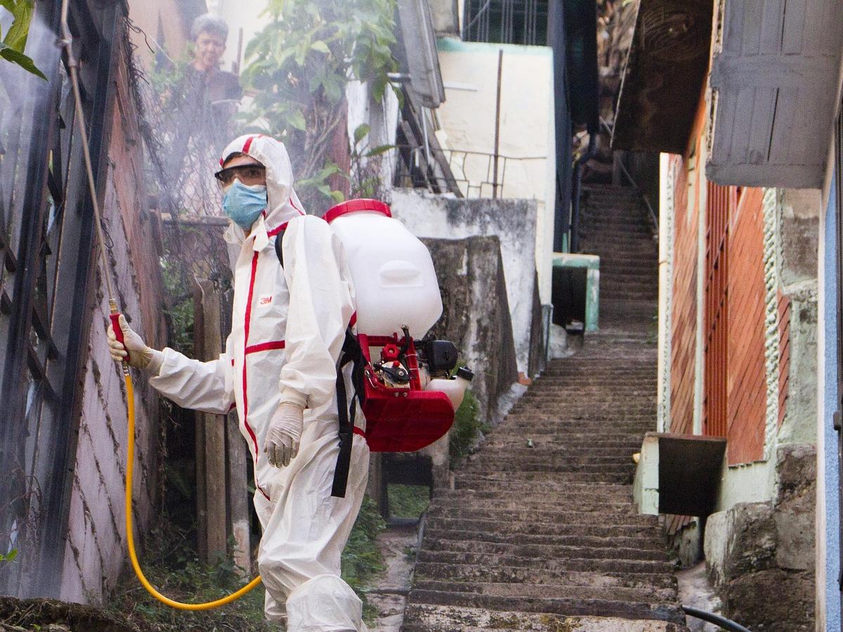 I vantaggi di una regolare manutenzione antiparassitaria a Pescara
